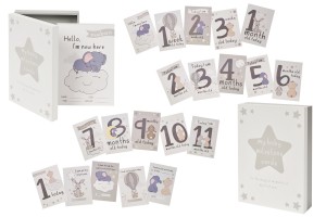 MILESTONE BABY BOX WITH CARDS
